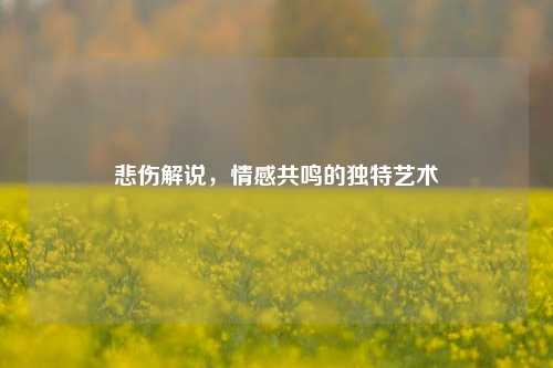 悲伤解说，情感共鸣的独特艺术