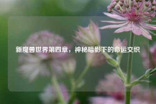 新魔兽世界第四章，神秘暗影下的命运交织