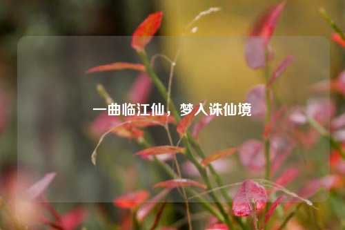 一曲临江仙，梦入诛仙境