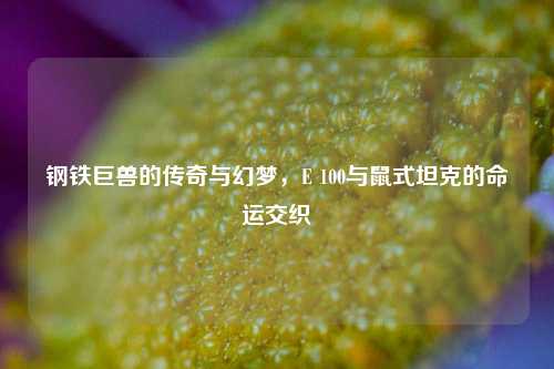 钢铁巨兽的传奇与幻梦，E 100与鼠式坦克的命运交织
