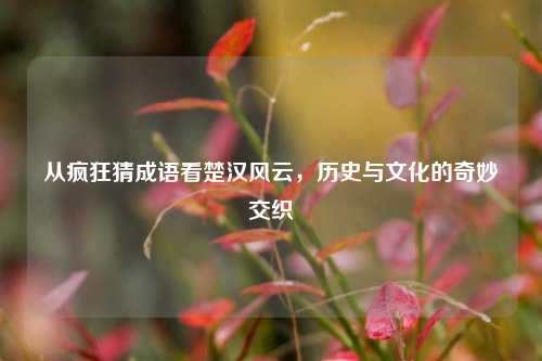 从疯狂猜成语看楚汉风云，历史与文化的奇妙交织