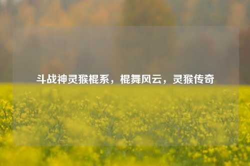 斗战神灵猴棍系，棍舞风云，灵猴传奇