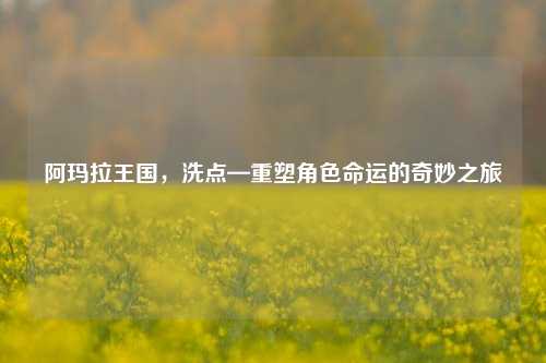 阿玛拉王国，洗点—重塑角色命运的奇妙之旅