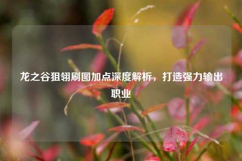 龙之谷狙翎刷图加点深度解析，打造强力输出职业