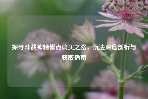 探寻斗战神精修点购买之路，玩法深度剖析与获取指南