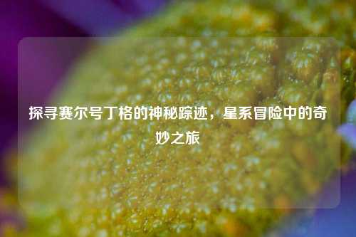 探寻赛尔号丁格的神秘踪迹，星系冒险中的奇妙之旅