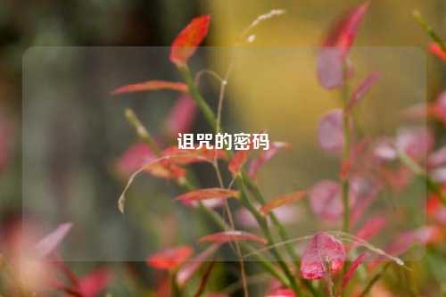 诅咒的密码