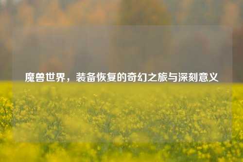 魔兽世界，装备恢复的奇幻之旅与深刻意义