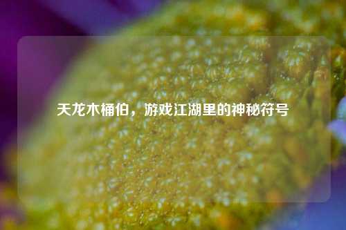 天龙木桶伯，游戏江湖里的神秘符号