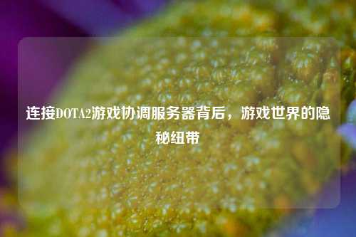 连接DOTA2游戏协调服务器背后，游戏世界的隐秘纽带
