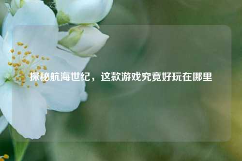 探秘航海世纪，这款游戏究竟好玩在哪里