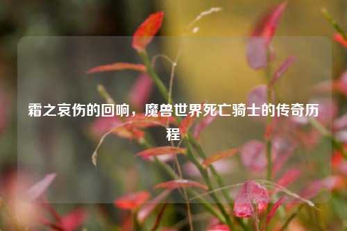 霜之哀伤的回响，魔兽世界死亡骑士的传奇历程