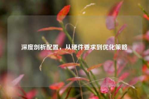 深度剖析配置，从硬件要求到优化策略