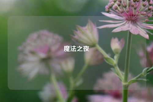 魔法之夜