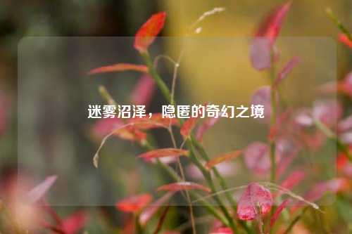 迷雾沼泽，隐匿的奇幻之境