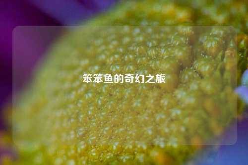 笨笨鱼的奇幻之旅
