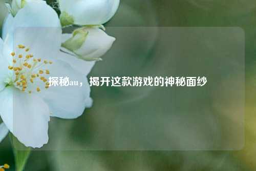 探秘au，揭开这款游戏的神秘面纱
