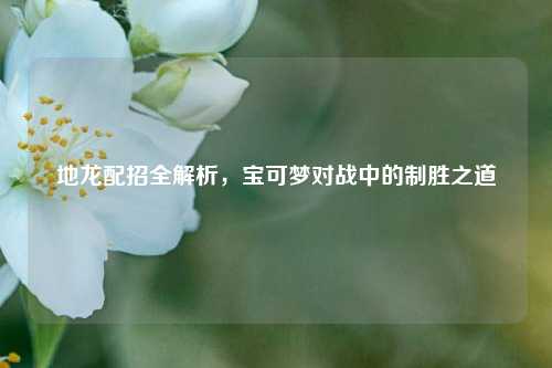 地龙配招全解析，宝可梦对战中的制胜之道