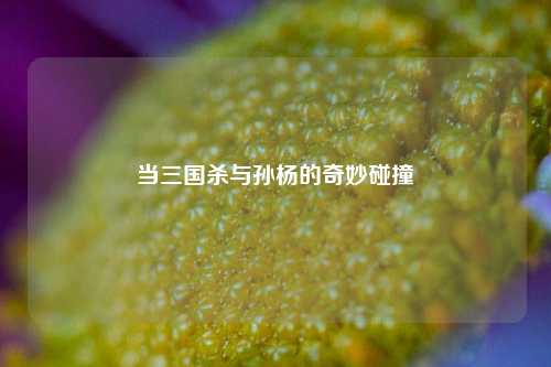 当三国杀与孙杨的奇妙碰撞