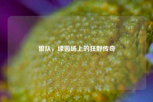狼队，绿茵场上的狂野传奇