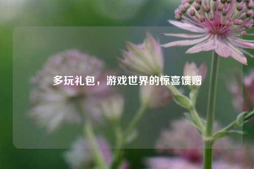 多玩礼包，游戏世界的惊喜馈赠