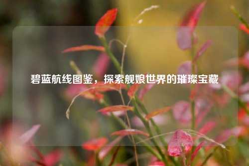 碧蓝航线图鉴，探索舰娘世界的璀璨宝藏
