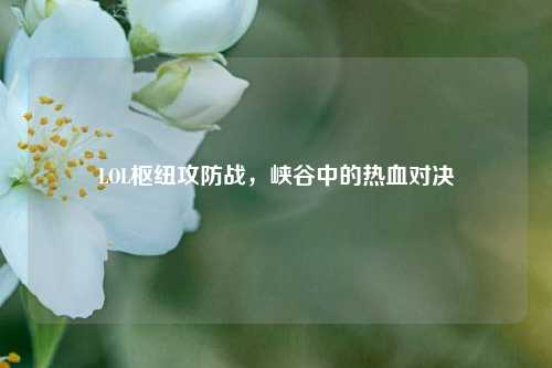 LOL枢纽攻防战，峡谷中的热血对决