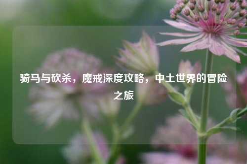 骑马与砍杀，魔戒深度攻略，中土世界的冒险之旅