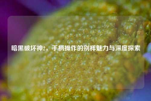 暗黑破坏神2，手柄操作的别样魅力与深度探索