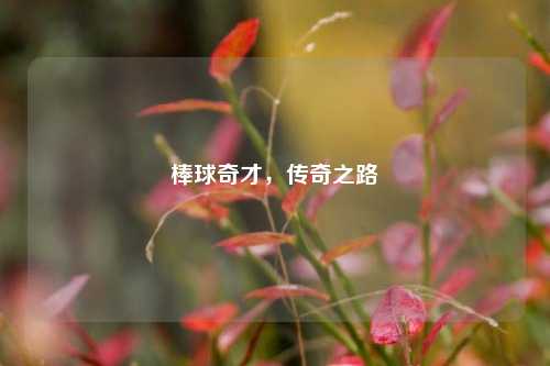 棒球奇才，传奇之路