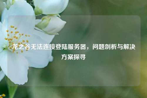 龙之谷无法连接登陆服务器，问题剖析与解决方案探寻