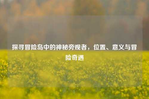 探寻冒险岛中的神秘旁观者，位置、意义与冒险奇遇
