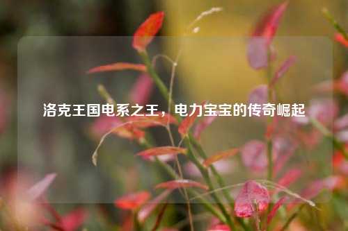 洛克王国电系之王，电力宝宝的传奇崛起