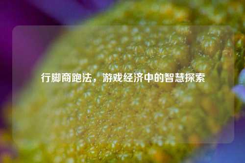 行脚商跑法，游戏经济中的智慧探索