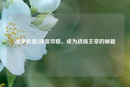 战争机器3深度攻略，成为战场主宰的秘籍
