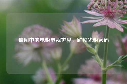 猜图中的电影电视世界，解锁光影密码