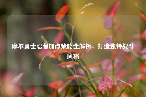 摩尔勇士忍者加点策略全解析，打造独特战斗风格