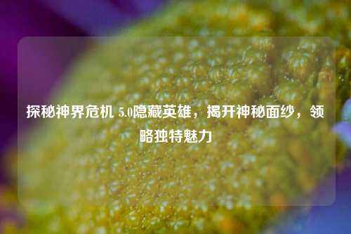 探秘神界危机 5.0隐藏英雄，揭开神秘面纱，领略独特魅力