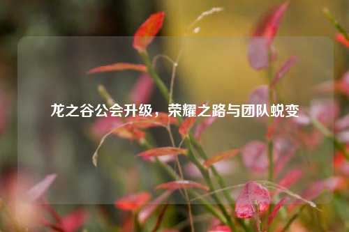 龙之谷公会升级，荣耀之路与团队蜕变