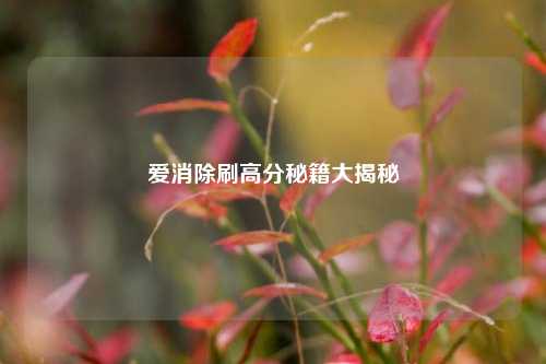 爱消除刷高分秘籍大揭秘