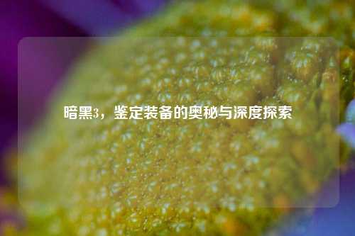 暗黑3，鉴定装备的奥秘与深度探索