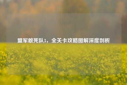 盟军敢死队3，全关卡攻略图解深度剖析