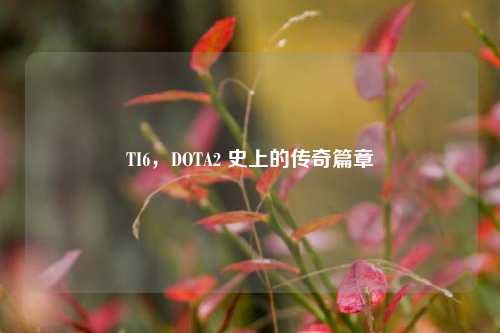 TI6，DOTA2 史上的传奇篇章