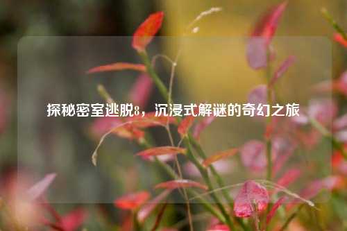 探秘密室逃脱8，沉浸式解谜的奇幻之旅