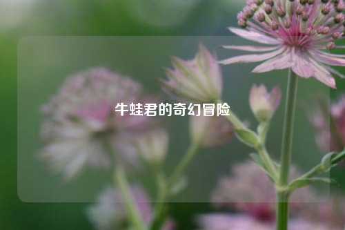 牛蛙君的奇幻冒险