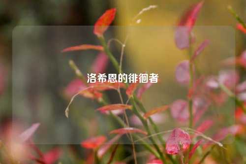 洛希恩的徘徊者