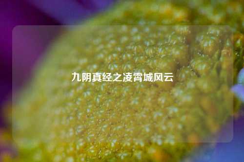 九阴真经之凌霄城风云