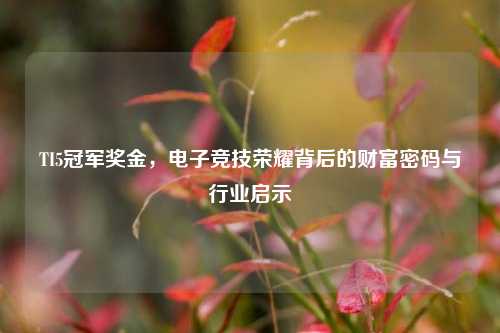 TI5冠军奖金，电子竞技荣耀背后的财富密码与行业启示