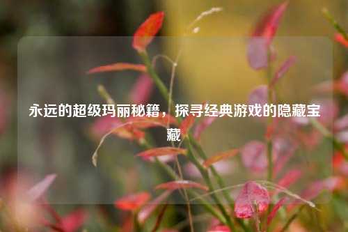 永远的超级玛丽秘籍，探寻经典游戏的隐藏宝藏