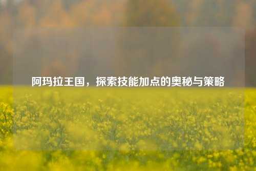 阿玛拉王国，探索技能加点的奥秘与策略